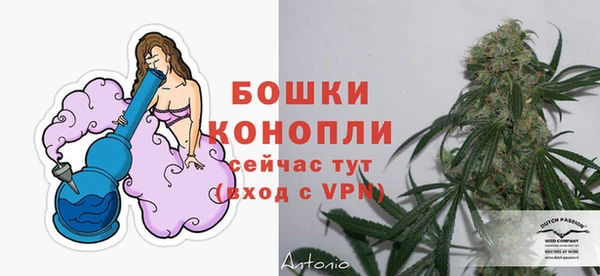 spice Мегион