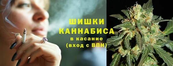 сатива Медногорск