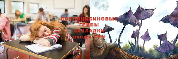 сатива Медногорск