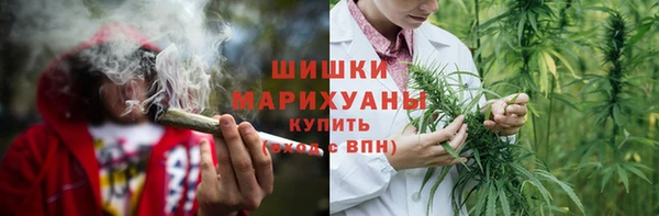 сатива Медногорск