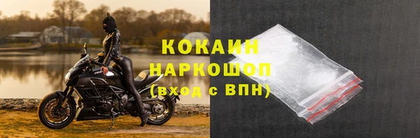 СК Медвежьегорск