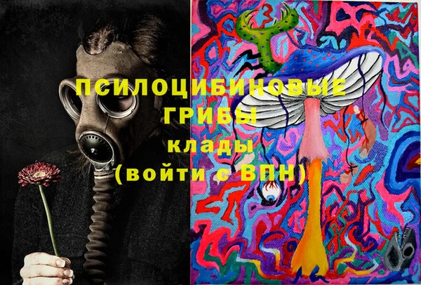 сатива Медногорск
