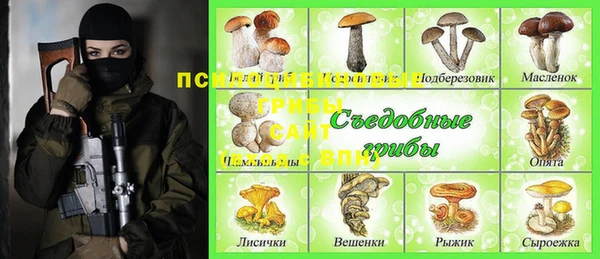 spice Мегион