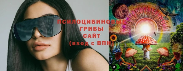 СК Медвежьегорск