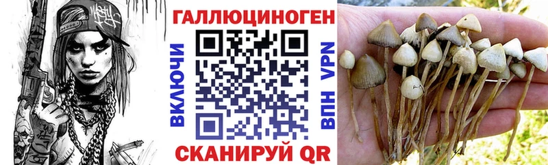 Галлюциногенные грибы MAGIC MUSHROOMS  Купить  Питкяранта 